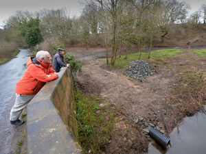 Supporting image for story: Concern as Market Drayton wildlife habitat cleared for development