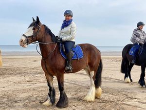 Supporting image for story: Stars take in beauty of Northern Irish coastline in new BBC Two series