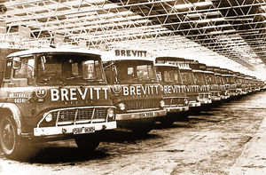Supporting image for story: 'Train travel - do the customers always come last?' - Your Letters and Brevitt lorries line up in a 1971 picture from the archive
