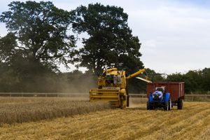 Hands Free Hectare in action