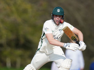Supporting image for story: In-form Haynes leads the way for Worcestershire with another ton