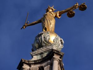 Supporting image for story: Telford dangerous dog owner, 39, ordered to pay big compensation bill after bulldog attack