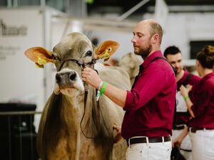 Supporting image for story: Farmers descend on Telford for the return of UK Dairy Day