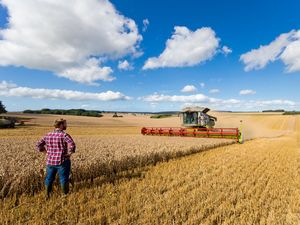 Supporting image for story: West Midlands farmers urged to check insurance for temporary workers