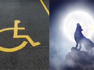 Supporting image for story: ‘Chairwolves’: Tweet about disabled parking spaces inspires novel