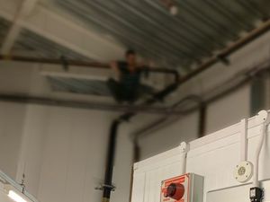 Supporting image for story: Suspect shoplifter Tasered during bid to flee Sainsbury's through roof 