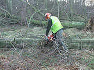 Supporting image for story: Chase facing recovery woe