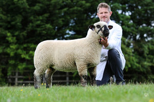 Also at 1500gns a ewe lamb from Louis and Becky Stainthorpe.