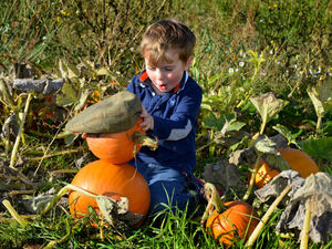 Supporting image for story: Sun seekers in the Black Country enjoy unexpected heatwave