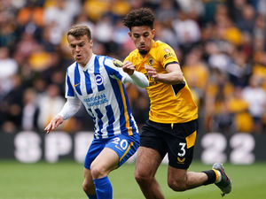 Supporting image for story: Wolves 0 Brighton 3 - Player ratings