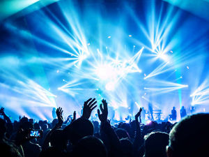 Supporting image for story: Can you gig it? Our music journalists talk about their best gigs