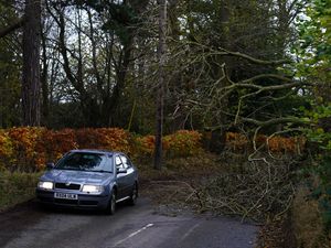 Supporting image for story: How can I stay safe behind the wheel in stormy conditions?
