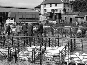 Supporting image for story: This week's Pictures from the Past