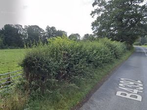 Supporting image for story: Plans for 28 affordable homes on outskirts of Welshpool get thumbs up 'in principle'