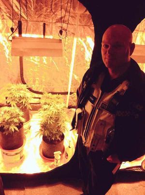 The plants were found in a flat on Horseley Heath, Tipton, picture: Great Bridge Police