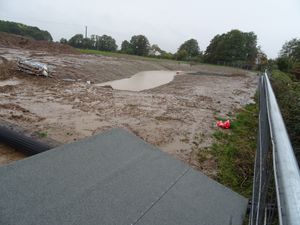 Swales on the site - credit: George Nash
