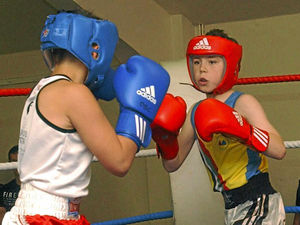 Supporting image for story: Shropshire boxers on the trail of national glory