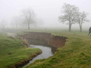 Supporting image for story: Time to shuffle Bolessssss over threat to Green Belt