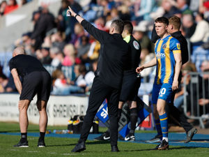 Supporting image for story: Josh Barlow finally gets Shrewsbury call