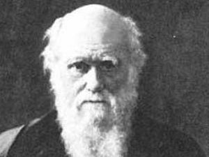 Supporting image for story: Festival to celebrate Charles Darwin