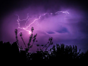 Supporting image for story: Express & Star comment: Action-packed 2020 not for faint-hearted 