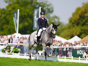 Supporting image for story: Townend back in the saddle in bid for Burghley redemption