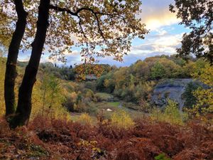 Saltwells Nature Reserve is an area of natural beauty in the heart of Quarry Bank