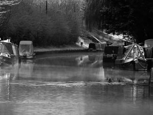 Supporting image for story: Reader picture: Winter morning by the Oxley Moor canal