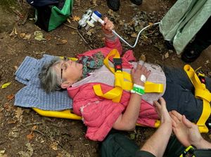 Jo Roberts, a BBC1 antiques dealer, was out walking near her Warwickshire home when she fell and broke her hip.