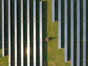 Supporting image for story: Solar farms: A ray of sunshine or a blot on the landscape?