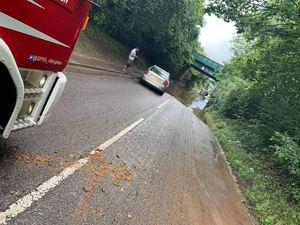 Supporting image for story