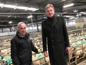 Supporting image for story: Tory Daniel hoping voters will flock to his bid