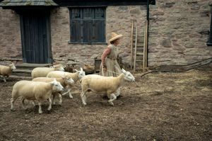 A scene from Hamnet .(Image: Agata Grzybowska / © 2025 FOCUS FEATURES LLC)