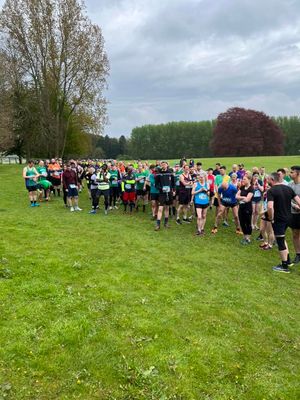 Newport10k