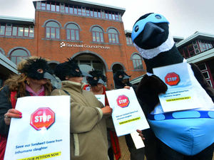 Supporting image for story: Thousands join fight over cull of geese in Sandwell