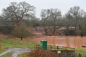 An initial rescue mission was planned for earlier this month, but the flooded field was too deep for rescuers to access the fish