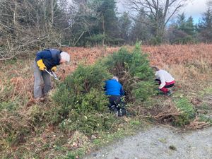 Volunteers at the December Woods for Wood White Butterfly work party.
