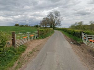 Supporting image for story: Loss of hedgerow for temporary access for Severn Trent works near Newport causes concern for ecologists