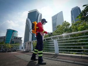 Supporting image for story