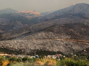 Supporting image for story: Two volunteer firefighters die amid wildfires in Turkey