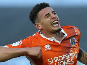 Supporting image for story: Analysis: Perfect end to a stunning Shrewsbury year