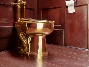 The solid gold toilet which was stolen from Blenheim Palace