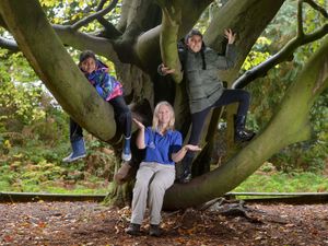 Supporting image for story: Green Gathering event near Wolverhampton for families and eco-warriors