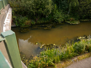 Supporting image for story: Actions over toxic chemical spillage in Walsall canal to be explained to residents and businesses



