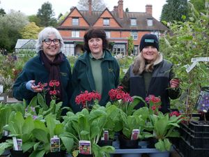 Tanya Parkes, estate secretary, Kristie Legg, gardener and Miranda Walker receptionist were all on hand to help customers with their plant purchases