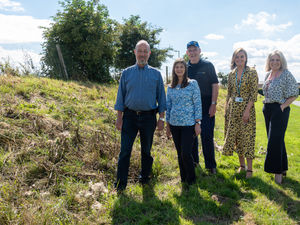 Supporting image for story: Busy bees pledge to join operation pollination 