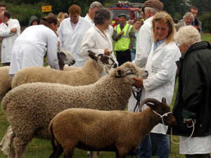Supporting image for story: Plan to revive Bishop's Castle Agricultural Show