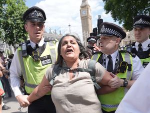 Supporting image for story: Police arrest 466 people over Palestine Action support at protest