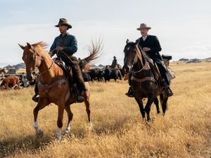 Supporting image for story: The Power Of The Dog takes top honours at London Critics’ Circle film awards