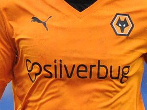 Supporting image for story: Wolves secure new junior shirt sponsor